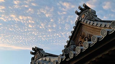採用情報へ